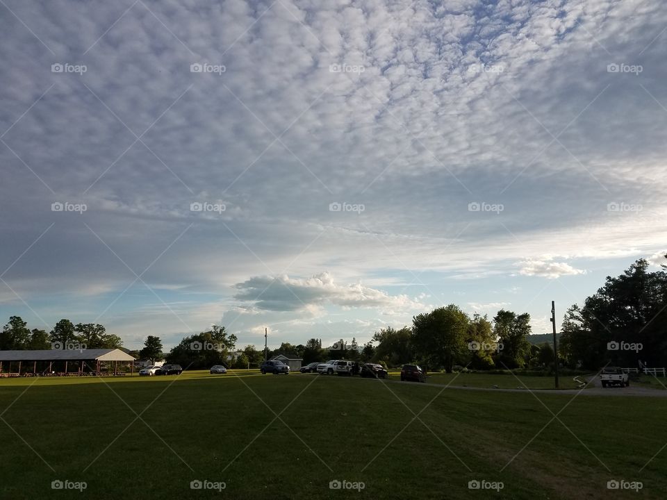 Golf, Landscape, Tree, No Person, Grass