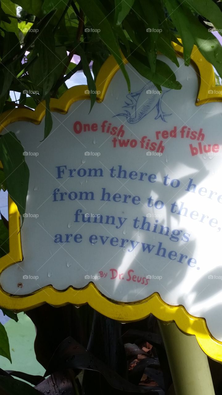 funny things are everywhere