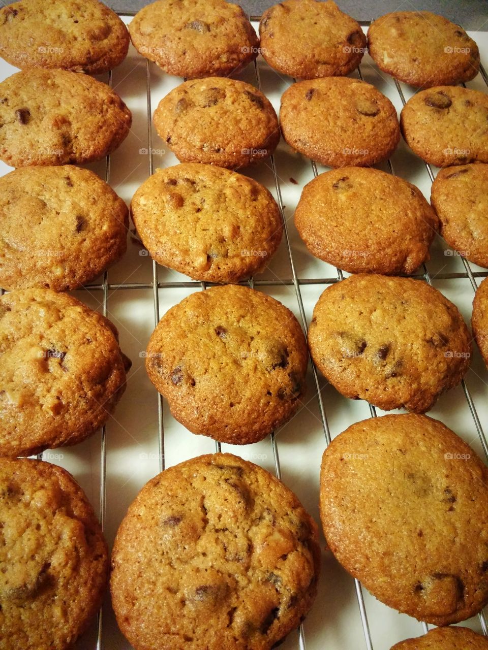 Homemade walnut chocolate chip cookies