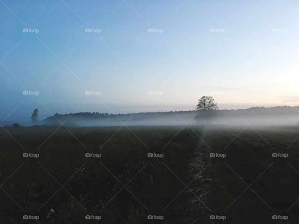 Foggy sunset in Dworzysk (Podlasie)