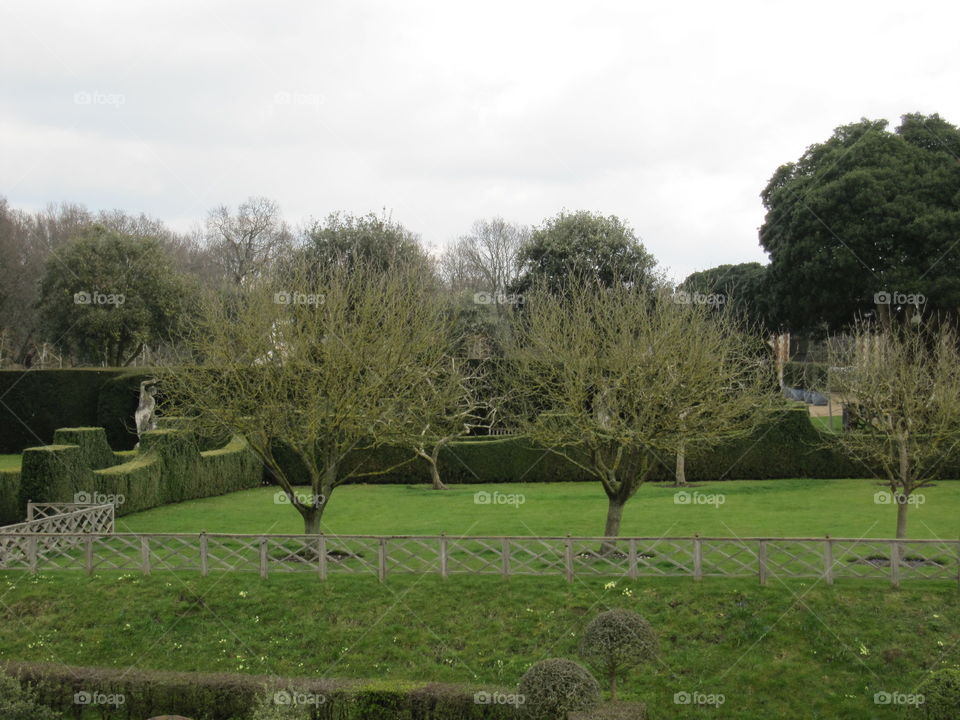 Landscape, Grass, Tree, No Person, Countryside