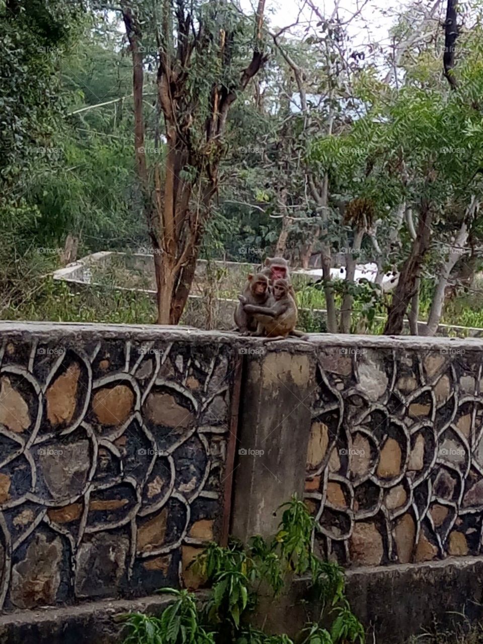 Spending time with mother.