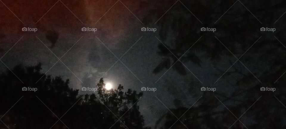 Full moon night 🌃 A beautiful moon light feeling happy to us. Awesome Nature 🥰