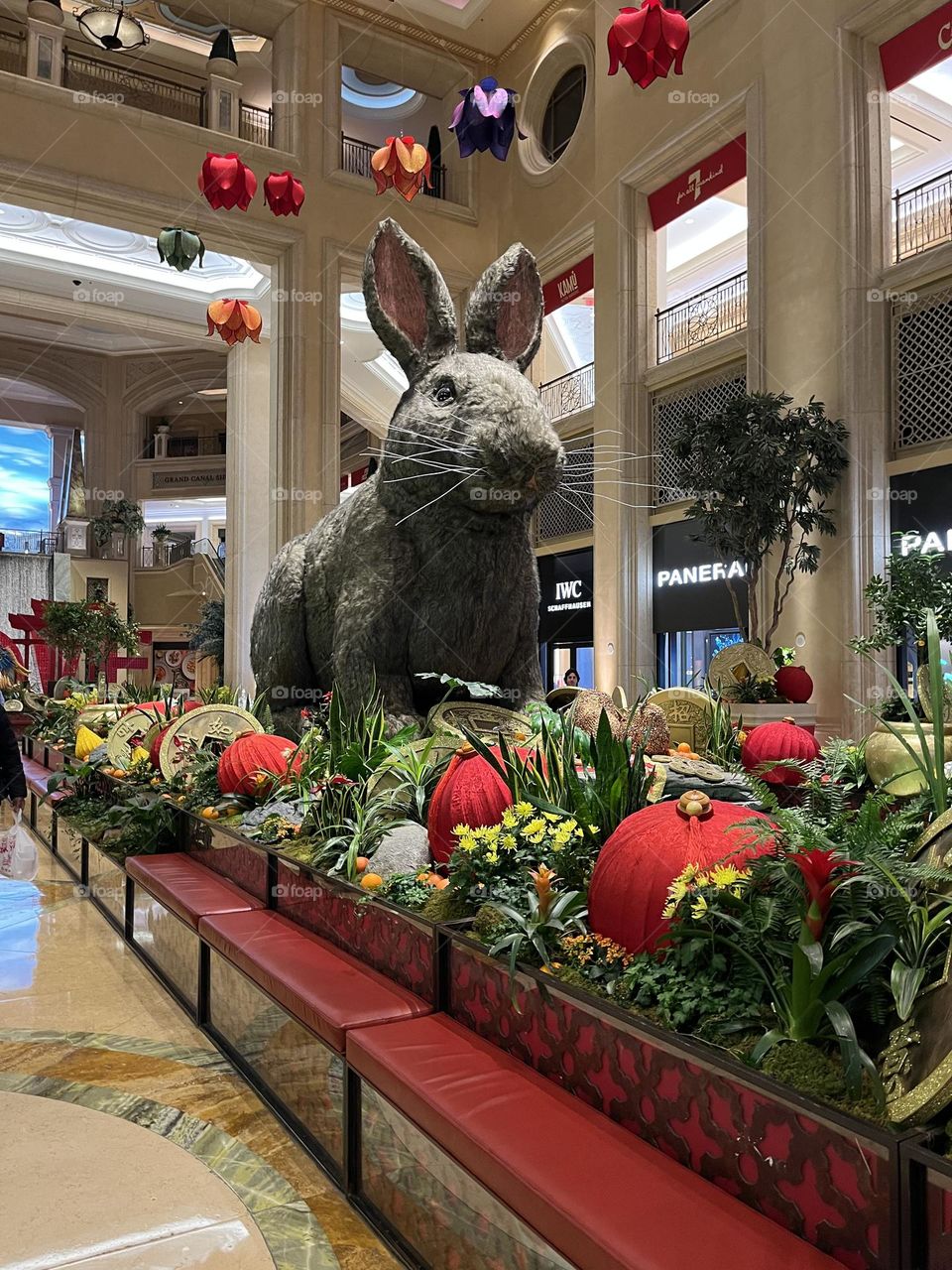 2023 the year of the rabbit, Venetian resort, Las Vegas