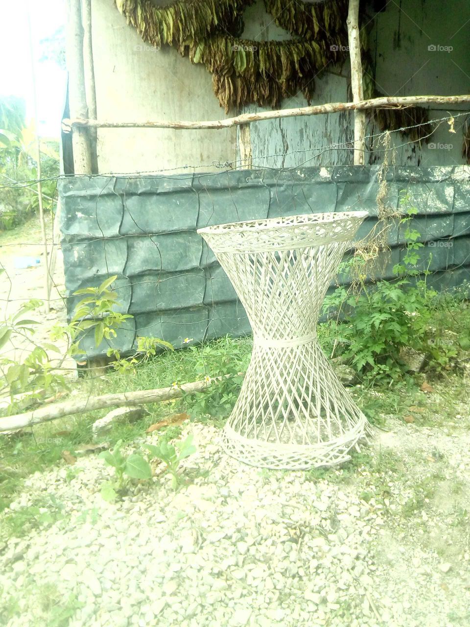 I don't know what to say a bout this picture it has so many Carter to it . looking at it.