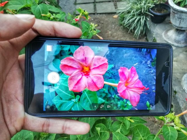 picture of the phone  to phone