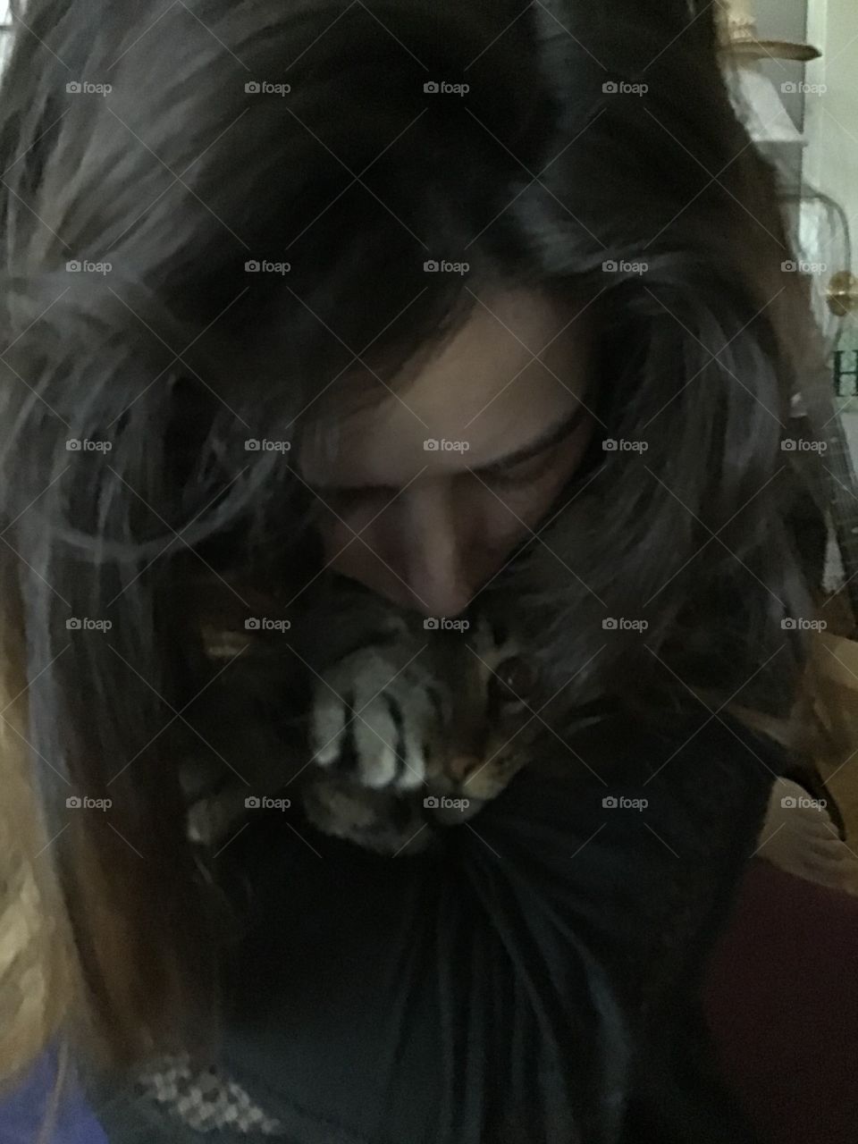 Girl with cat looking straight ahead surrounded by her hair