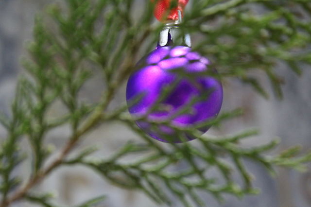 Purple toy for christmas tree.