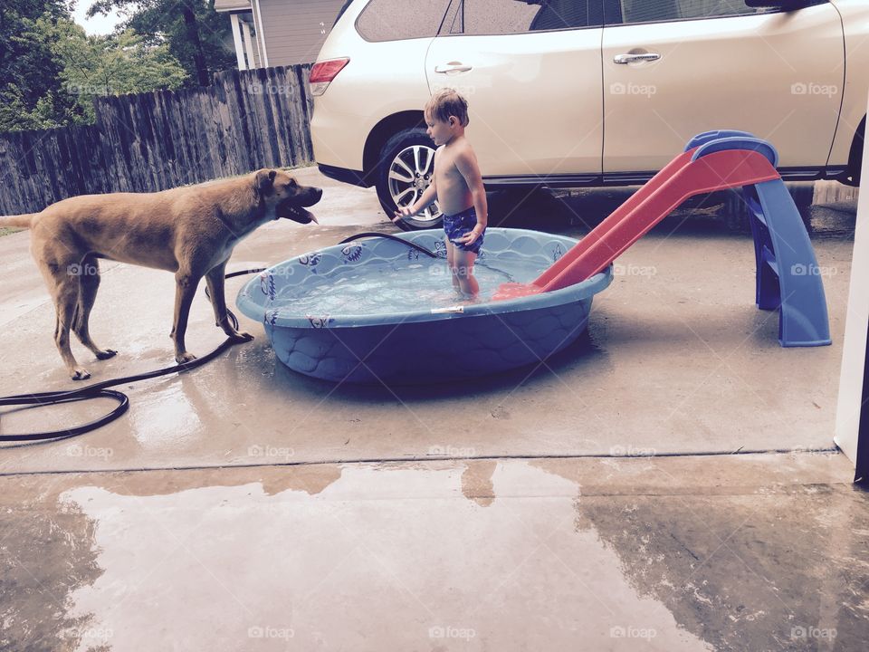 Young kid plays with dog in his small kiddie pool