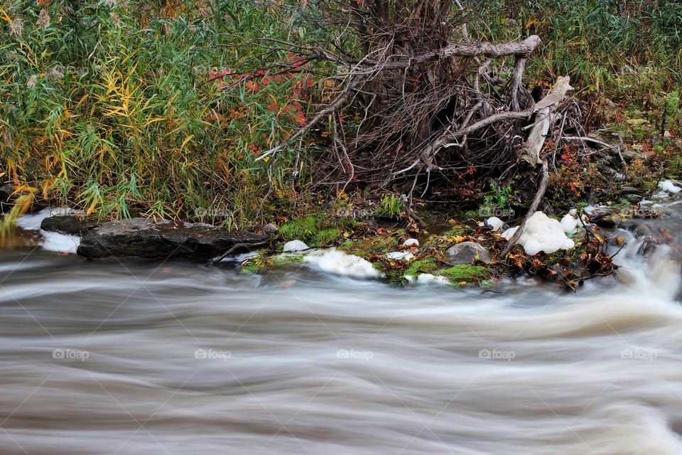 Ellicott creek