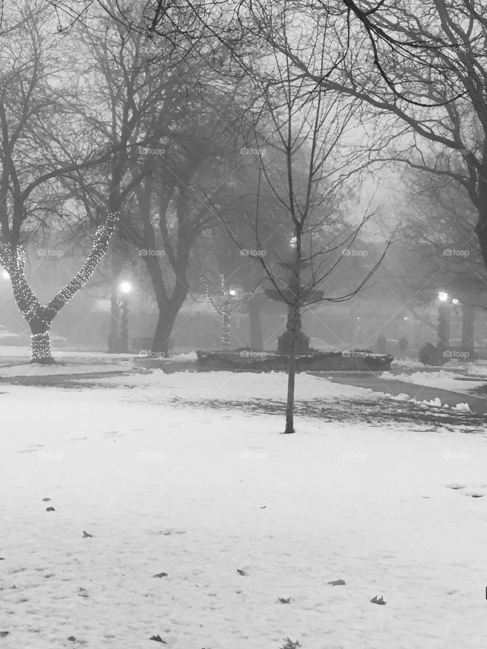 Snow and Fog 2