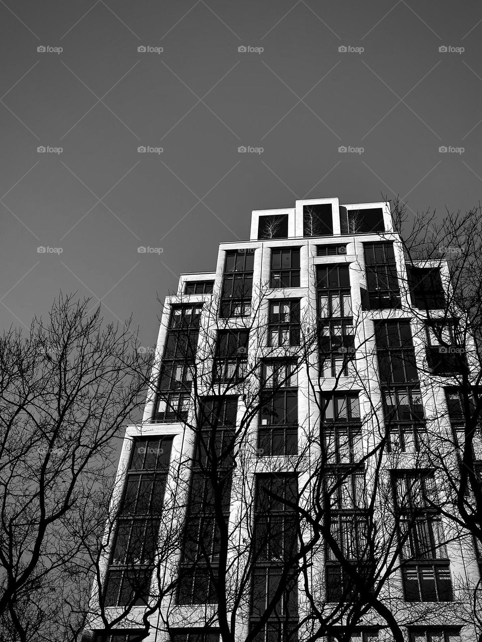 Bare trees branches against a building and sky in black and white. 