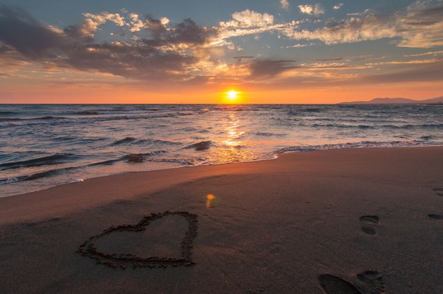 Heart