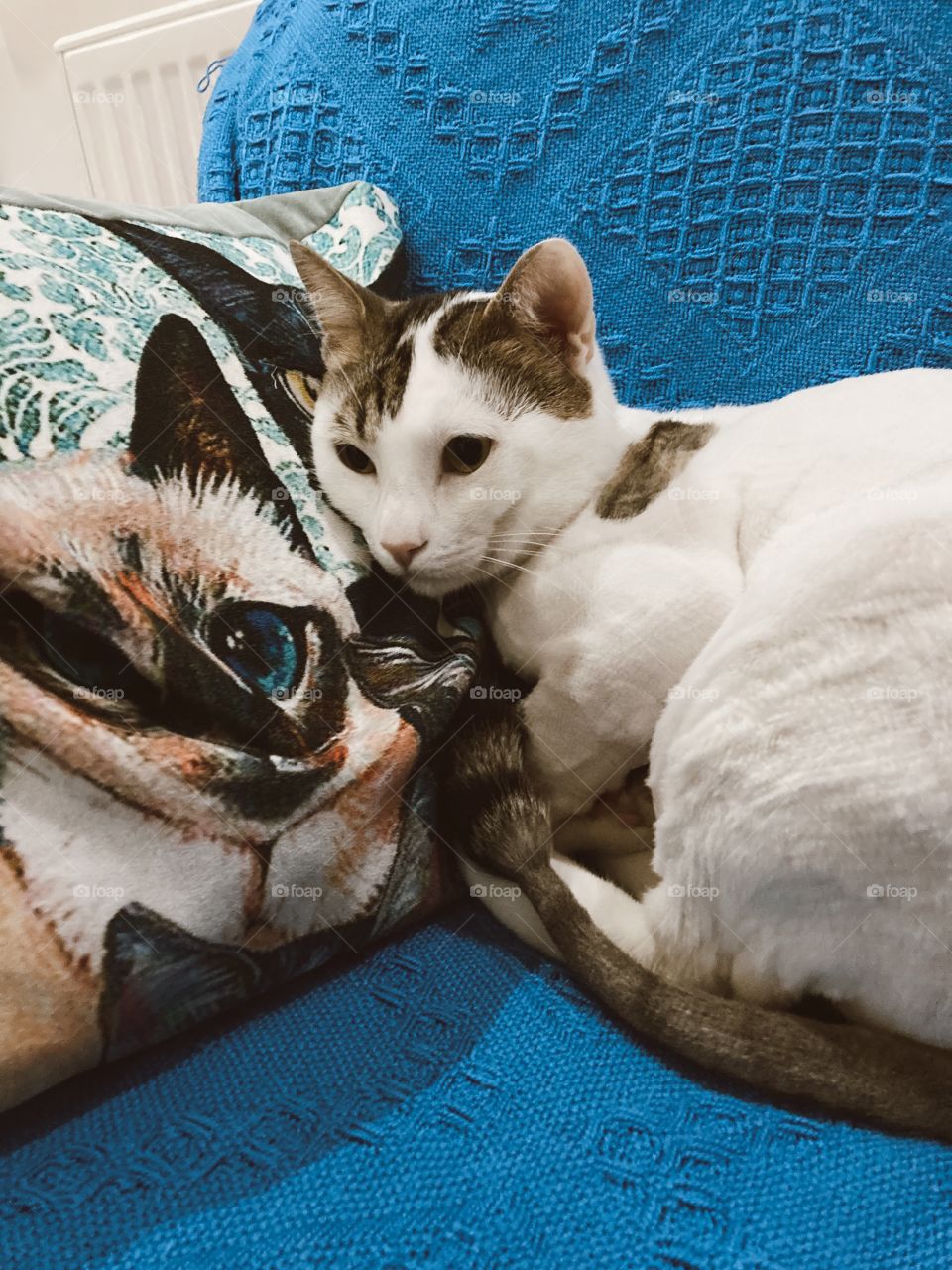 Cuddle time with Mr.Leo..