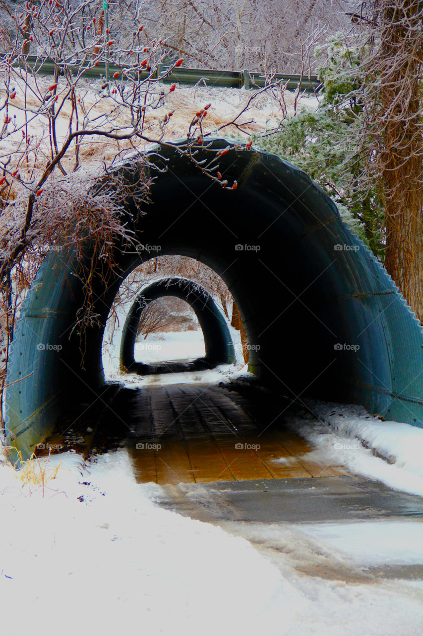 tunnel to winter