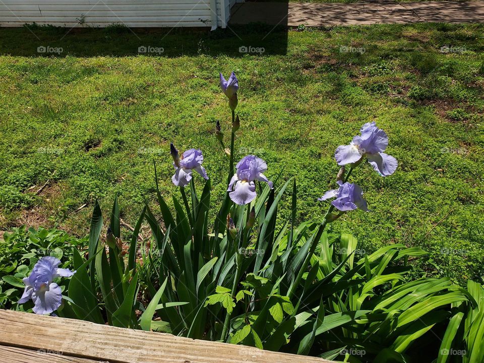 happy Monday may your day as fabulous as you are and don't forget to make it count.