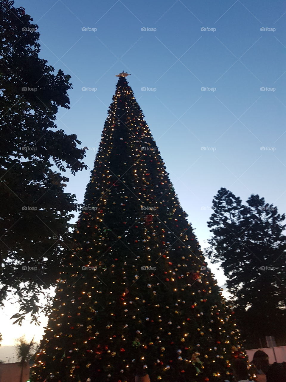 Tree size Christmas tree fully decorated.