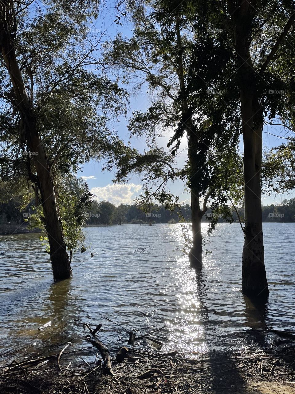 In the middle of the river 