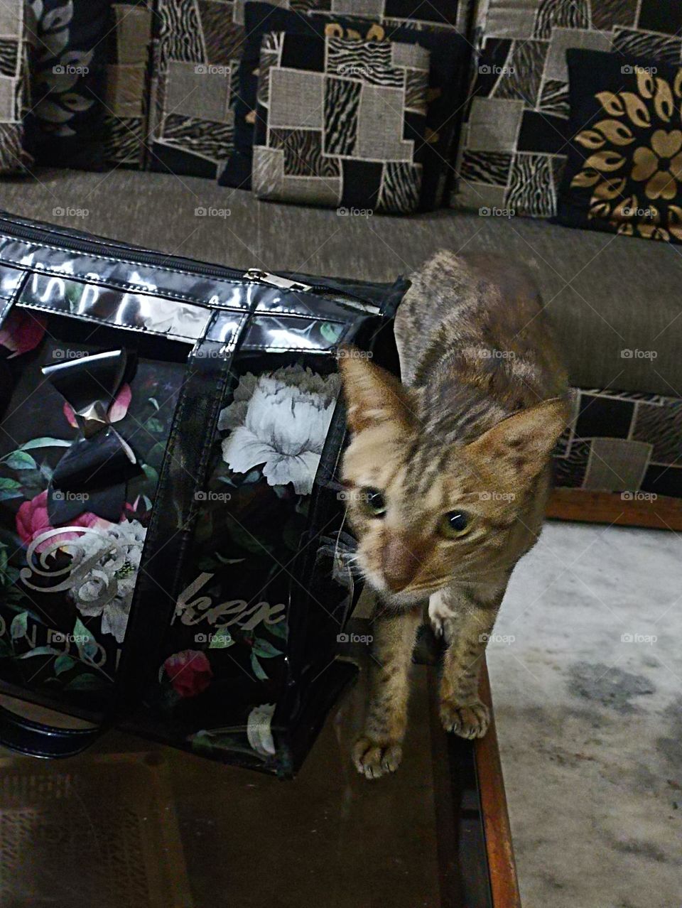 you have my whole heart for my whole life