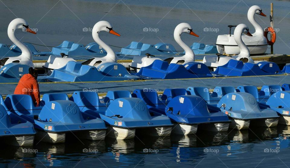 Morning Paddle Boat Prep