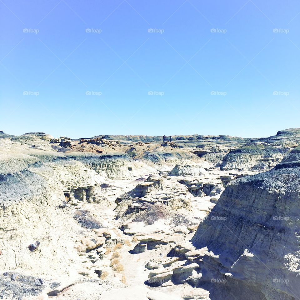 Bisti Badlands 