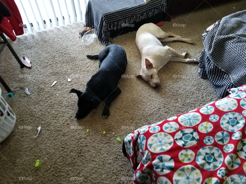 Do you think they'll notice?