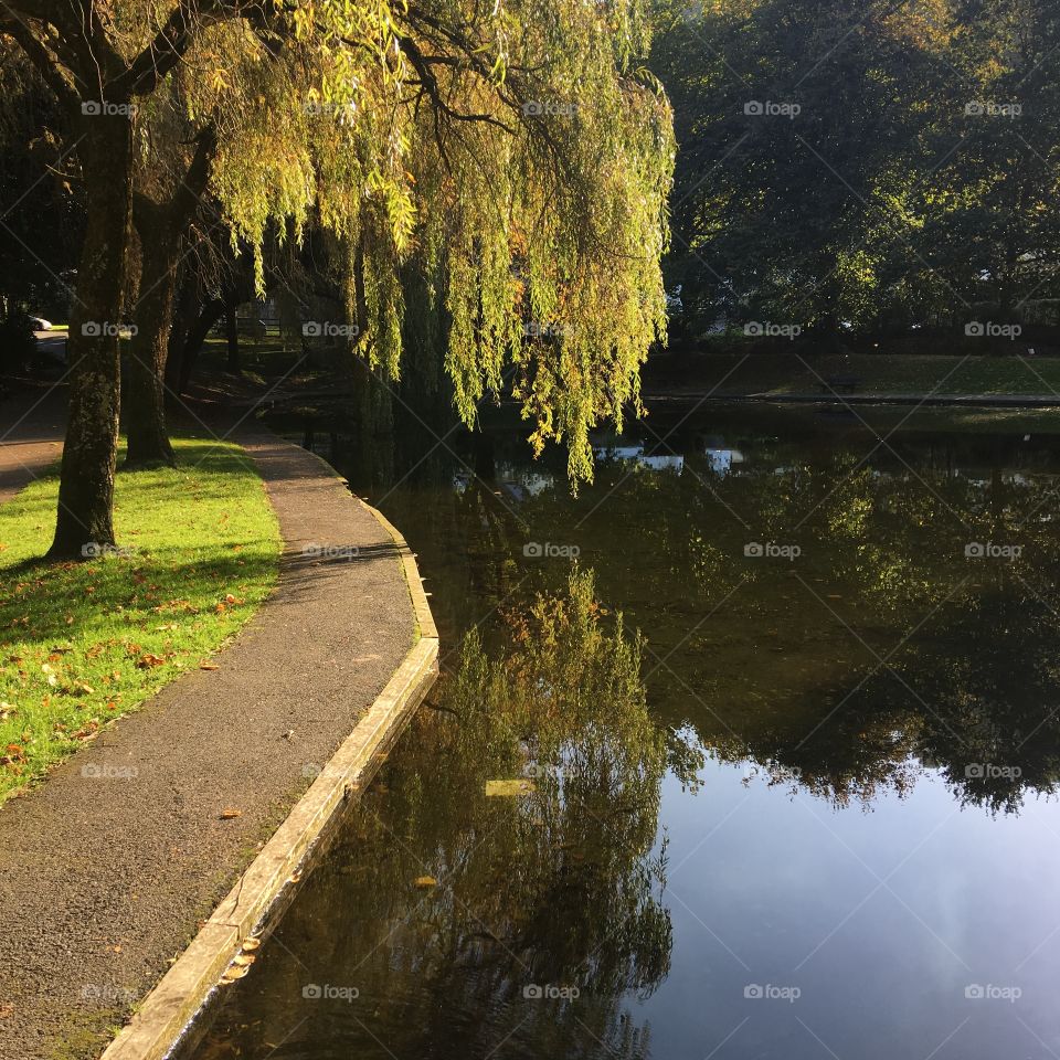 A stunning afternoon in Bicclescombe Park in Ilfracombe, North Devon. Autumn is here, sunshine is out and the clear reflections bring clarity to the day.