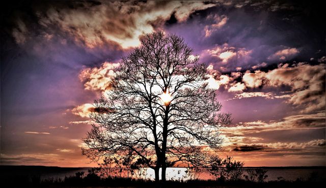 Sunset