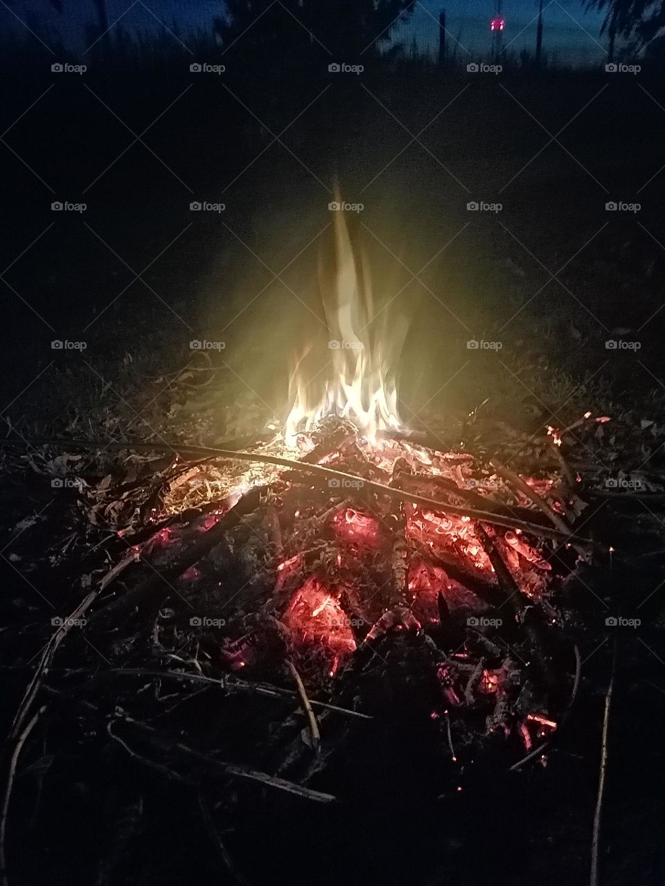 Campfire