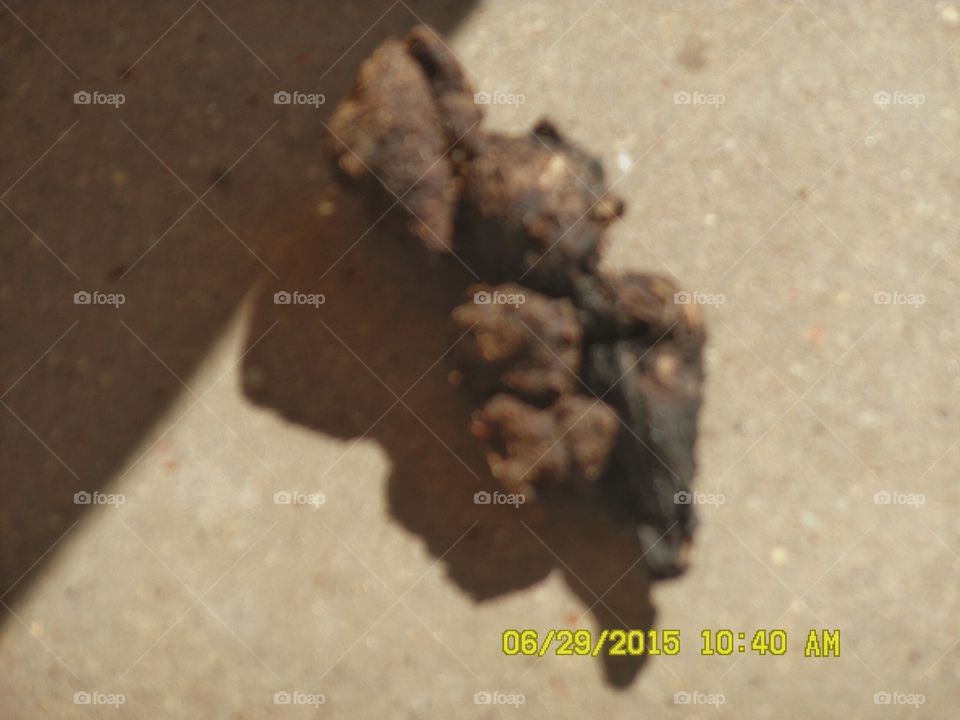 don't be a piece of shit. This is a picture of how to avoid stepping in dog 🐶 poop 💩.... 👣 🚶 🏃 🔥 💨 take it's picture!