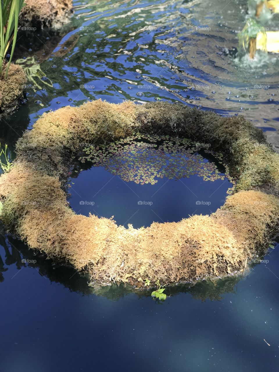 Ring around the rosie