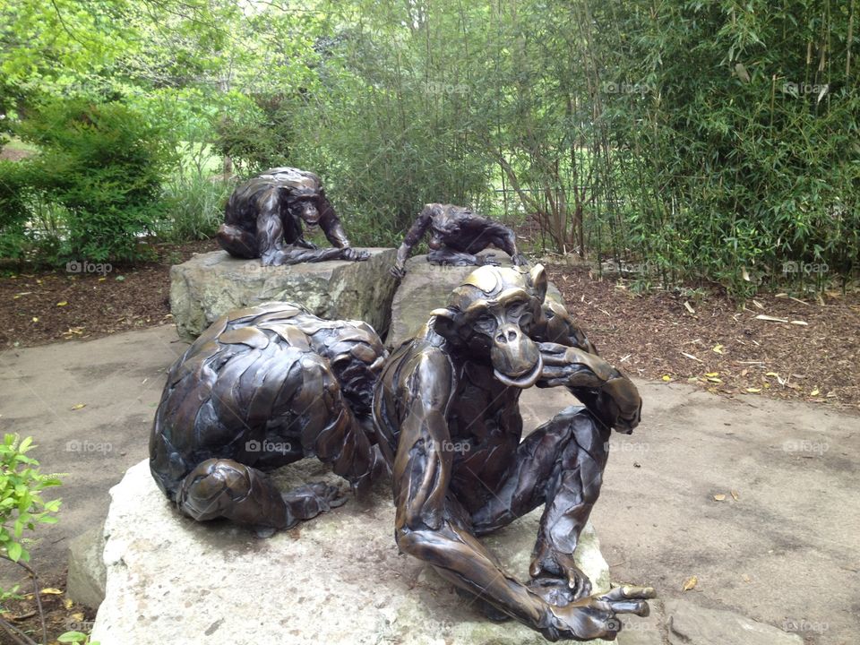 Monkey statue , Washington DC 