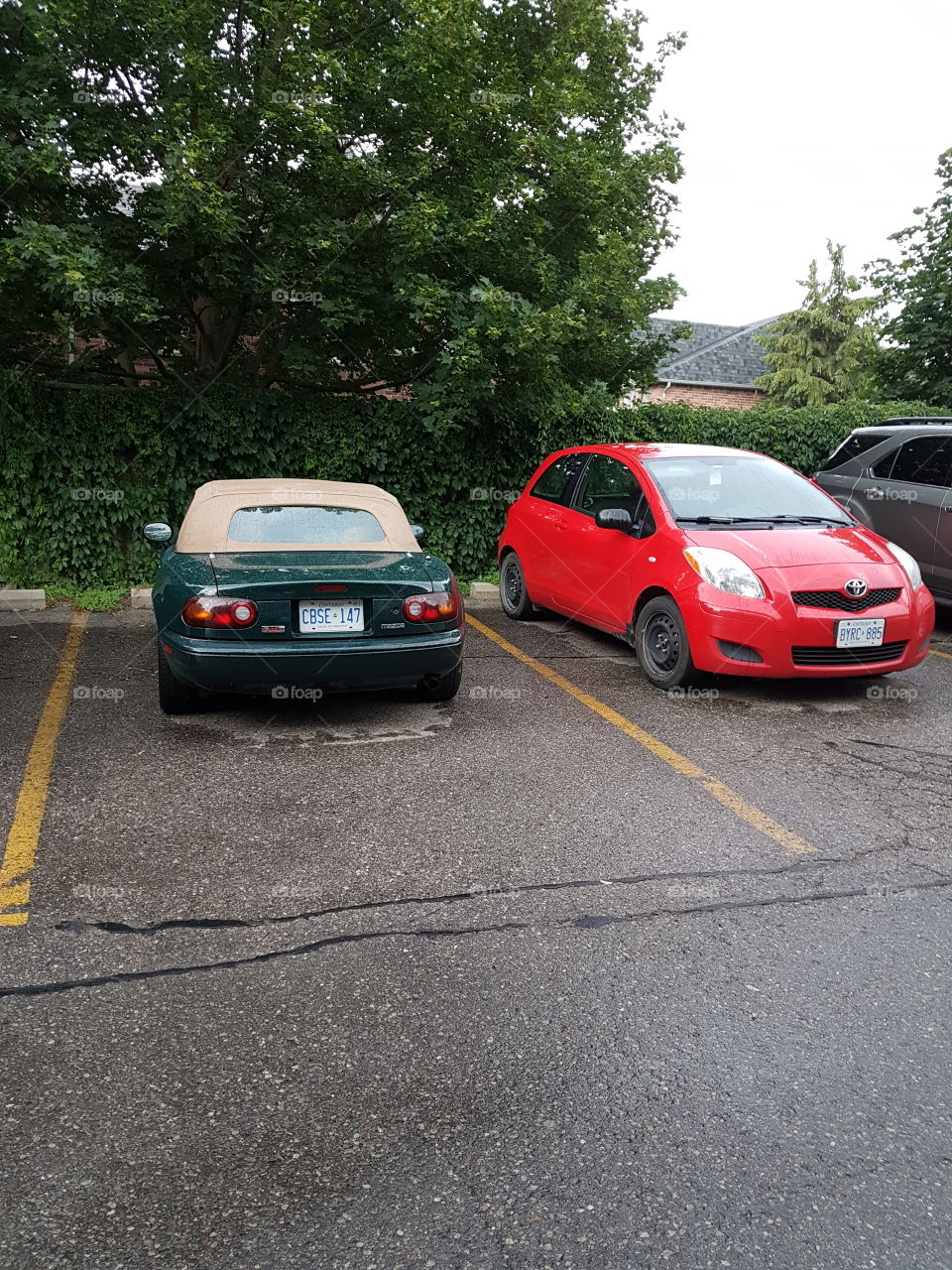 thought a yaris is small