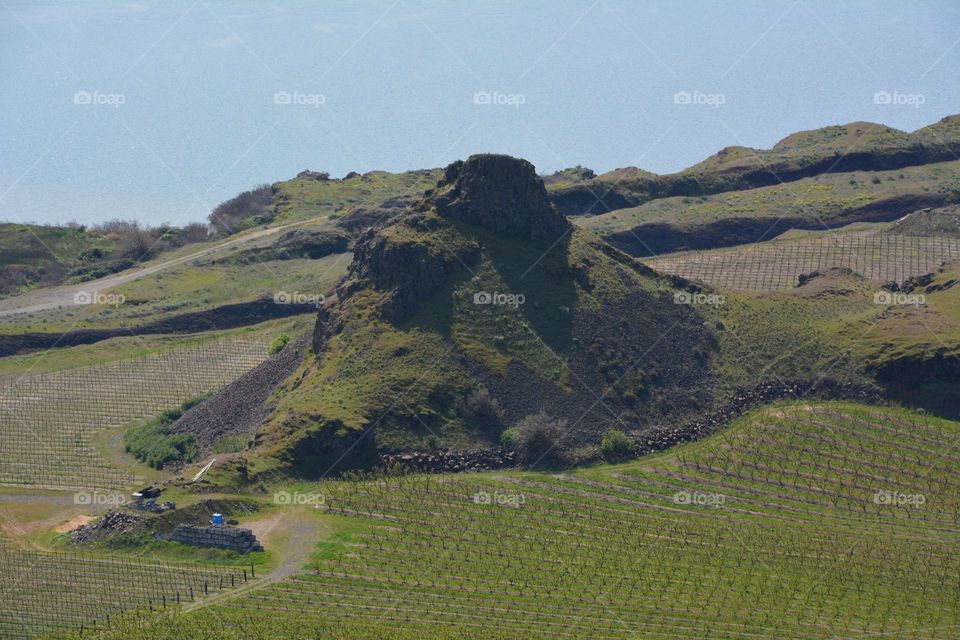 Rock sentinel over the vineyard 