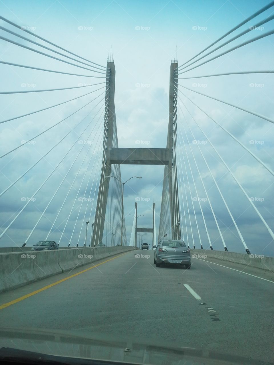 Suspension bridge going to Savannah.