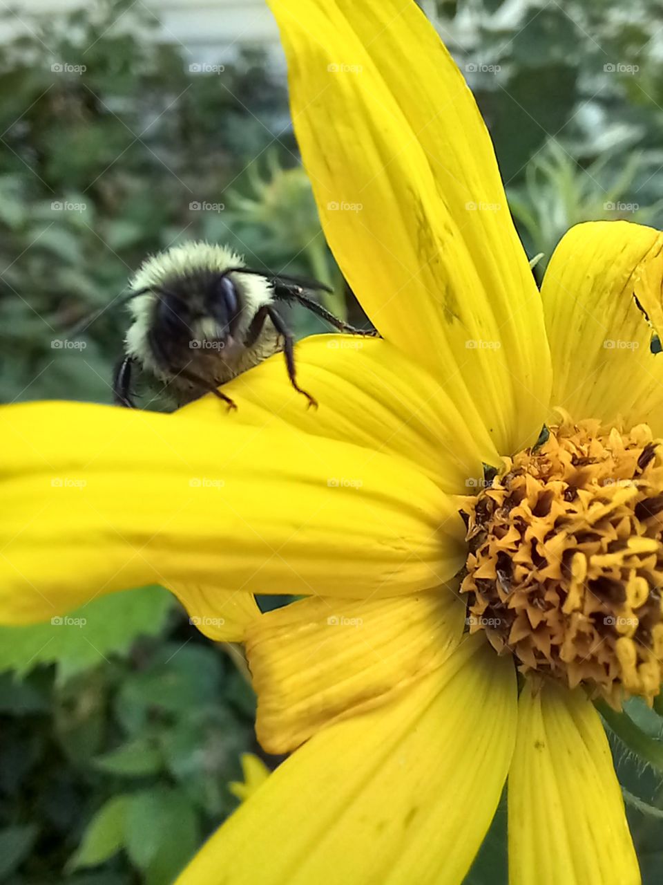 little guy going in to do his work.