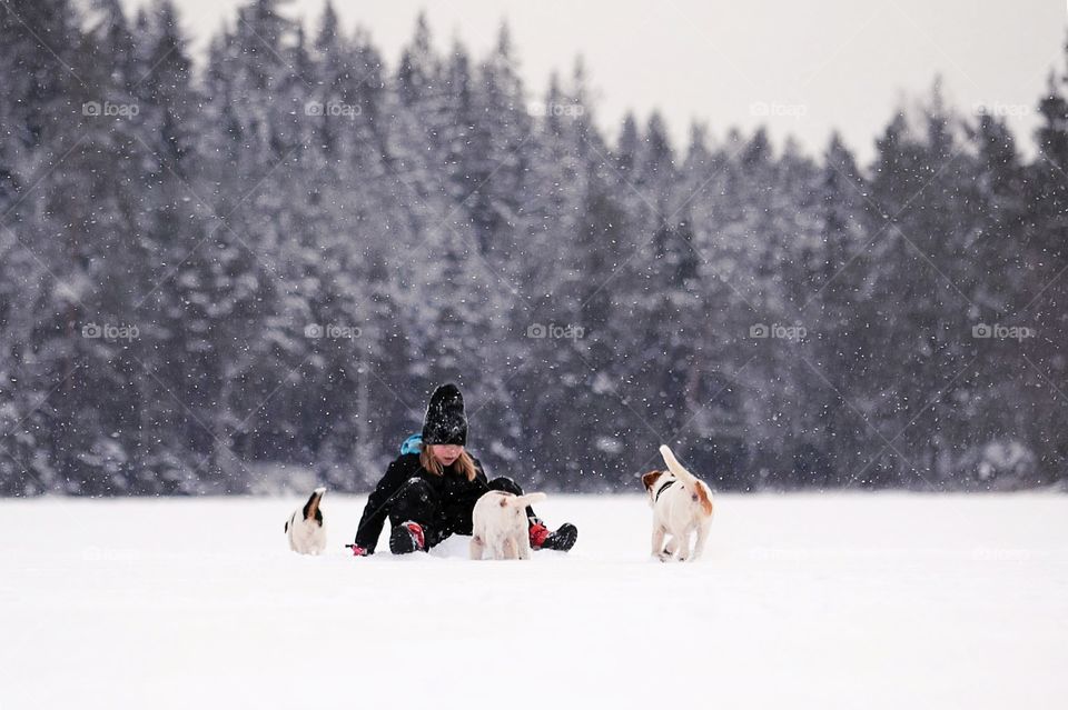 Girl in the snow playing with the dogs