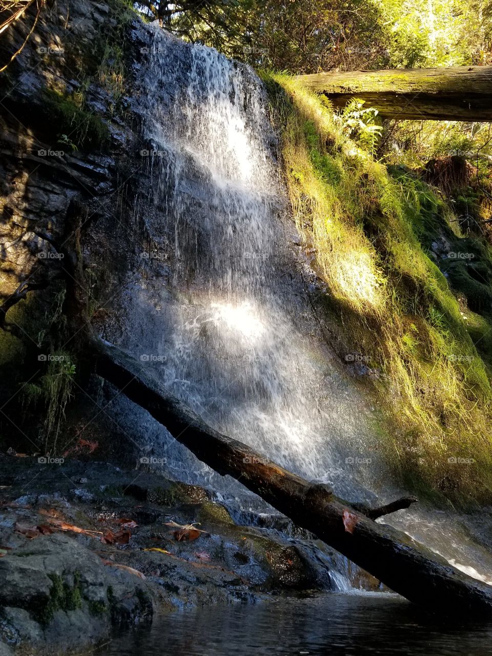 Cherry Creek falls trail