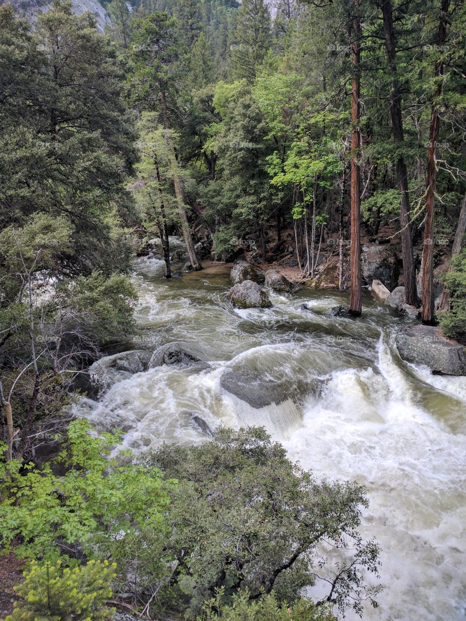 Yosemite national Park, California