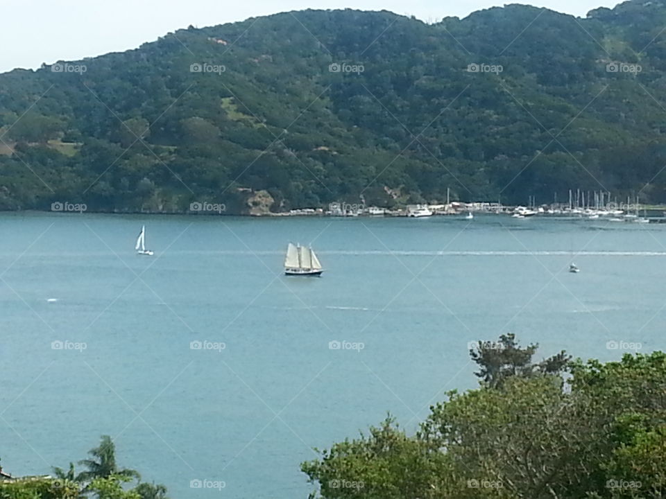 Sailboats on San Francisco Bay. Standing at Tiburon CA. Marin County. Looking out over the Bay.