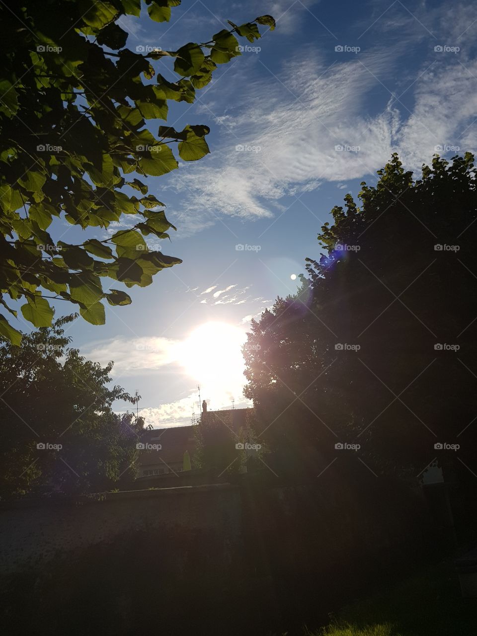 sun shinning on the sky