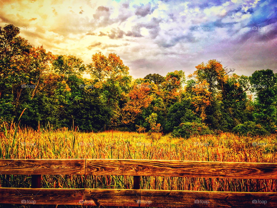 First day of Fall. 
9/22/2016