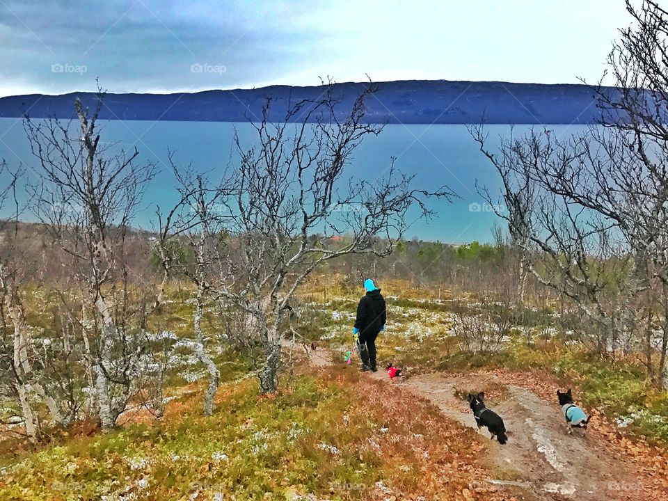 Chihuahuas mountain hiking 