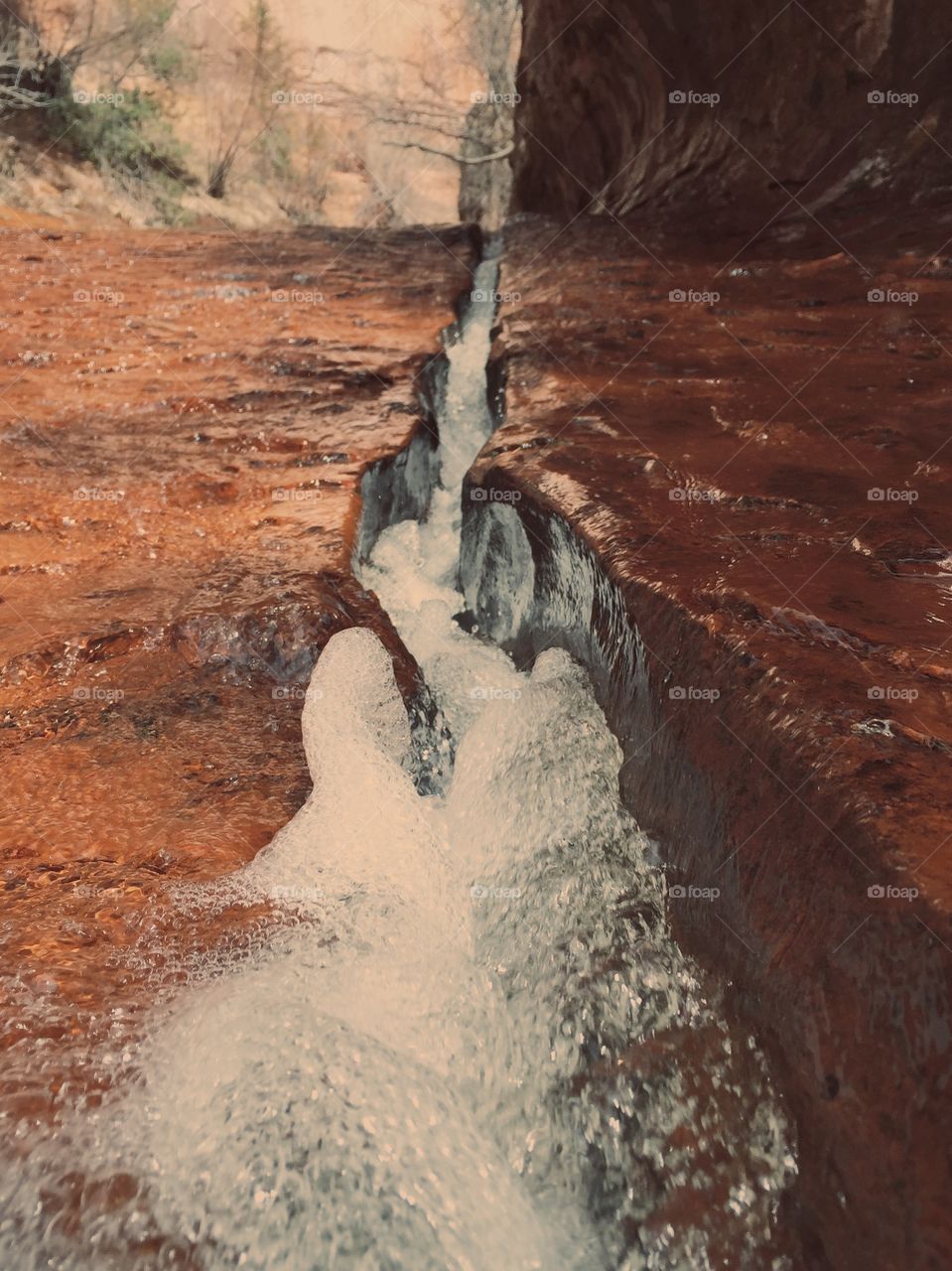 The Stream's Fault. Took this photo on a hike in Zion. The water had split the rock perfectly for about 100 yards