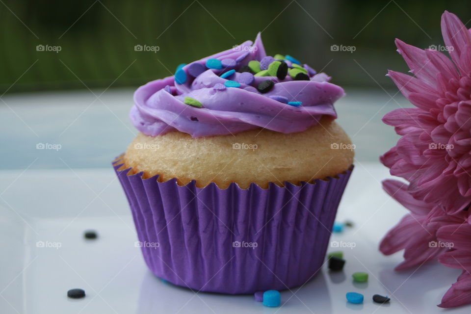 Vanilla Cupcake