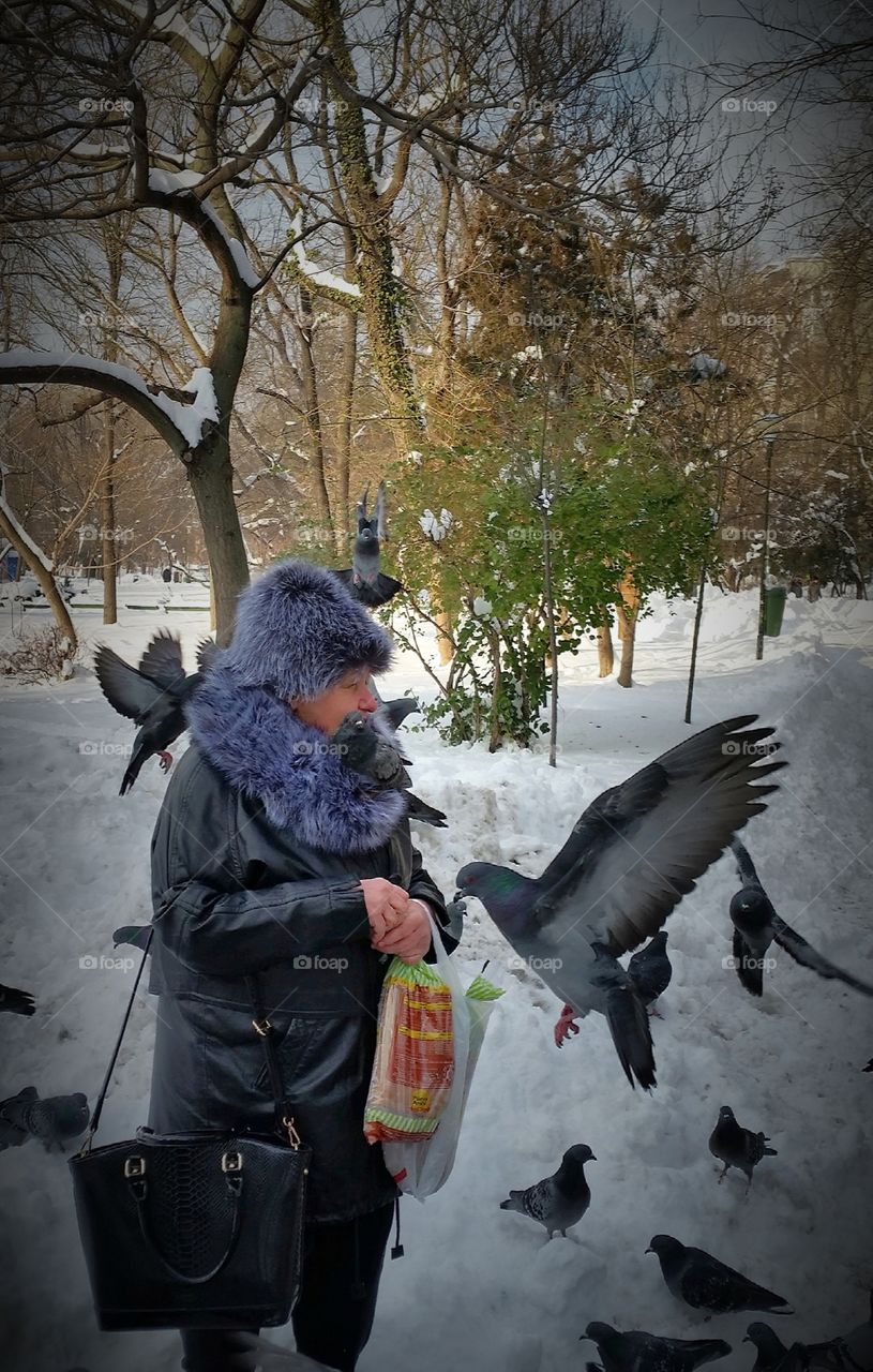 Hungry birds in wintertime