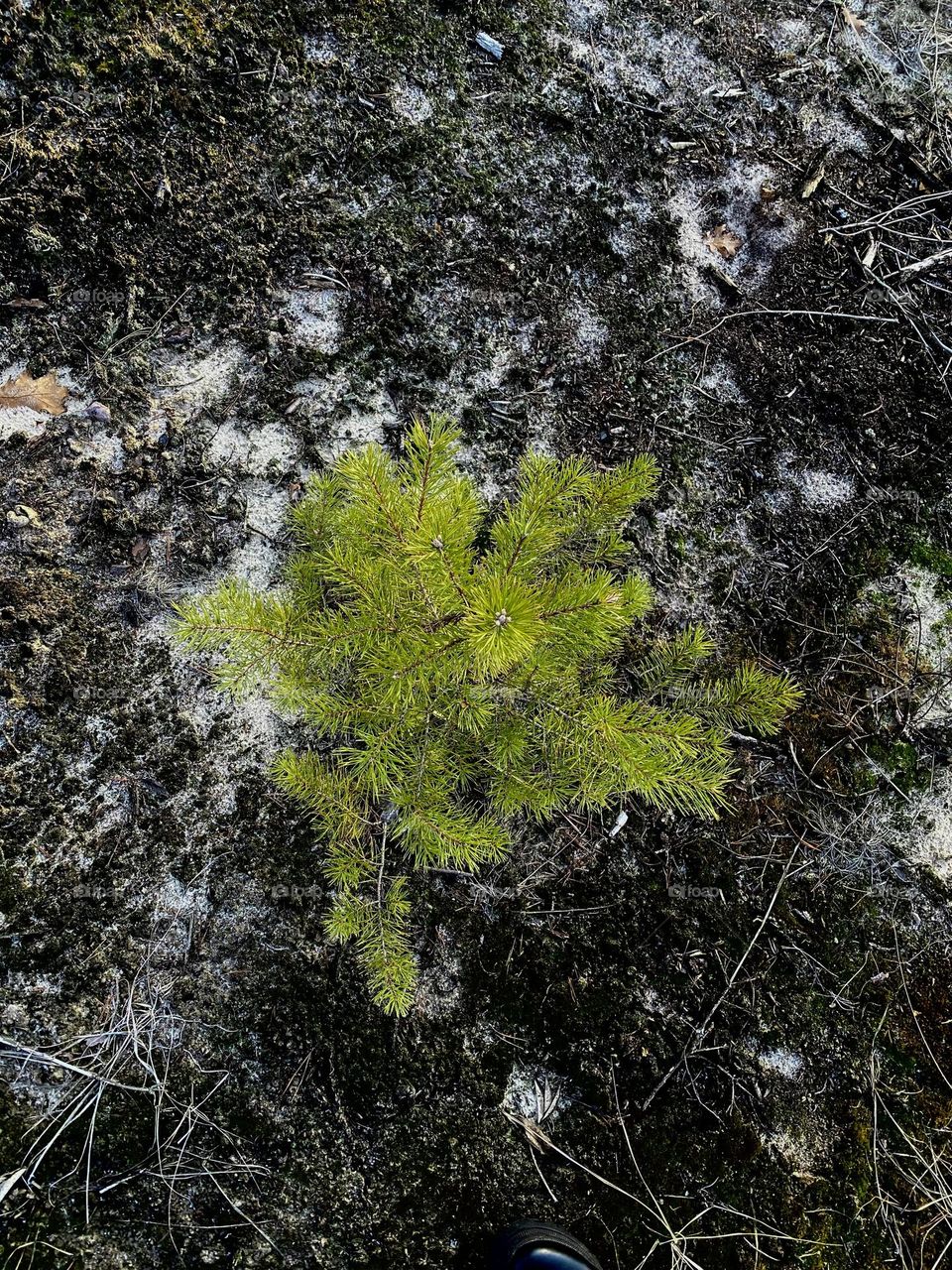 bright colors in minimalism