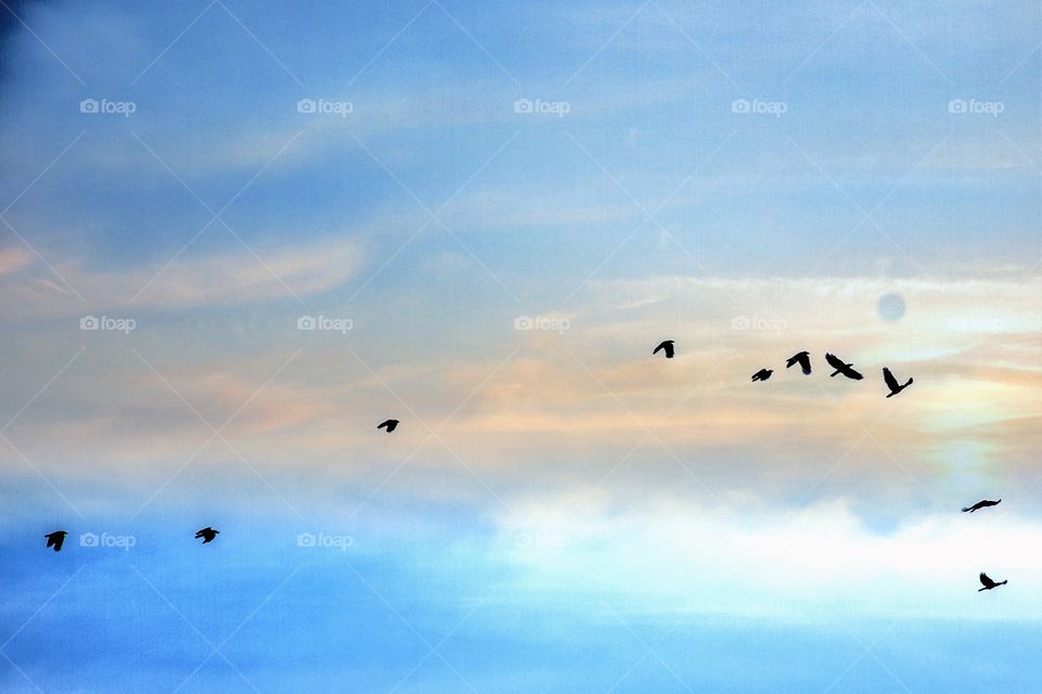 Low angle view of birds flying in dramatic sky