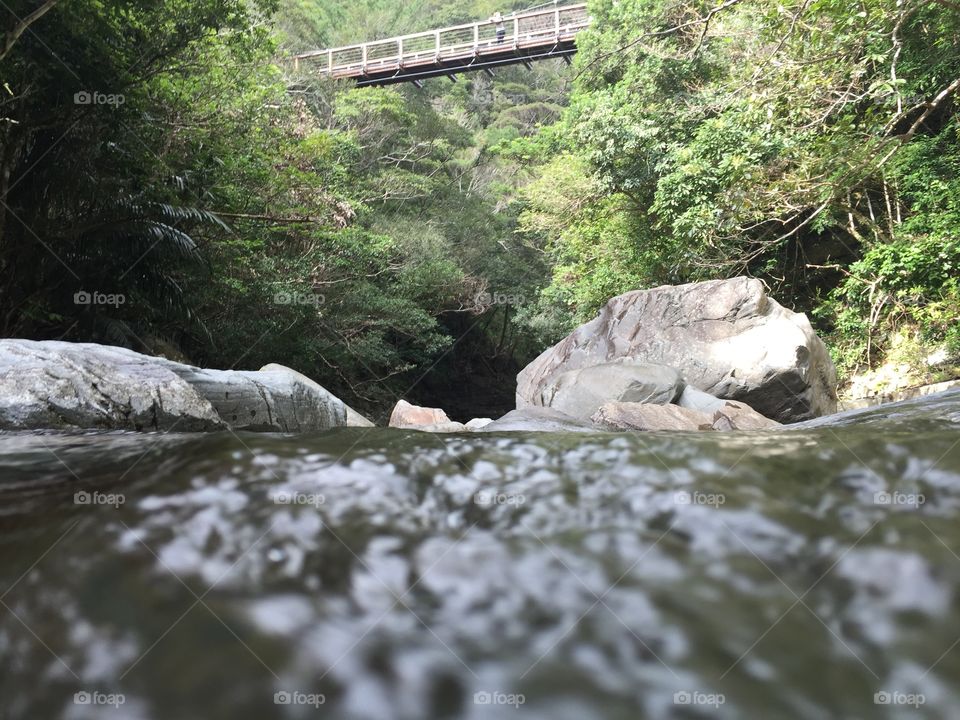 At eye level. River in Okinawa Japan 