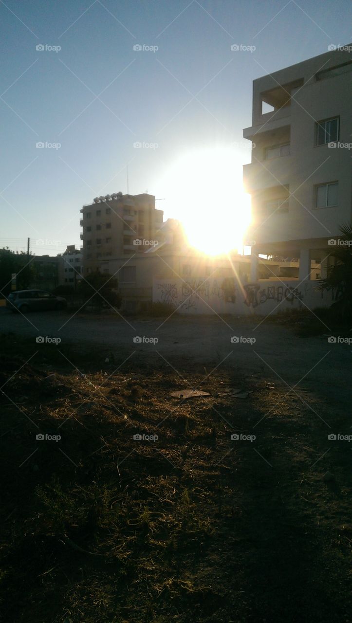 sunset. summer sunset